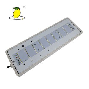 Intelligent Bulkhead Emergency Light High Brightness With Emergency Exit Sign