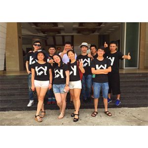 Shenzhen Yinghui Yuan Electronics Co., Ltd.