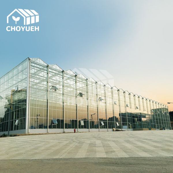 UV Protection Transparent Glass Covered Greenhouse Thickness 8mm