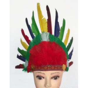 Indian headdress, ground anfield dress party outfit, feather headdress, chief