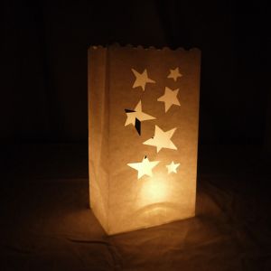 Quality Large Star Paper Luminaries Bag (10 Pack) for sale