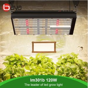 UV IR 120W Quantum Board SAMSUNG LM301B LED Grow Light 306 umol/s