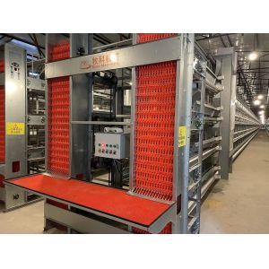 Low Noise Cage Holding Poultry Q235 Standard Steel Material Long Usage Life