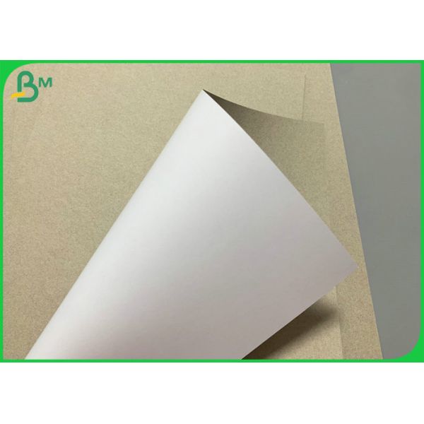 Smooth White 300g Duplex Board Grey Back For Beverage Packaging