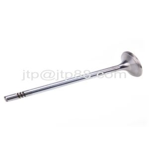 Car Spare Parts Swirl Polished Diesel Engine Valve E13 E15 Intake Valve And