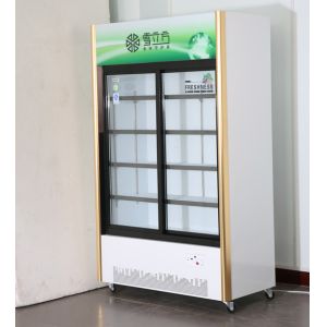 Commercial Double Glass Door Display Freezer Sliding Beverage