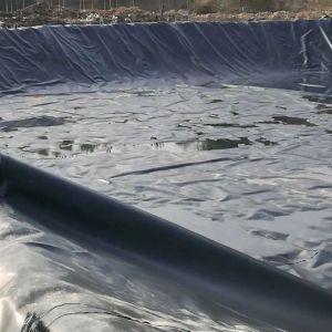 Double Smooth Surface 0.5mm LDPE LLDPE HDPE Geomembrane for Fish Industry Dam