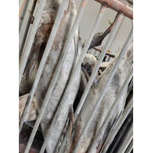 HACCP Approved 10 - 20KG Frozen Yellowfin Tuna WR