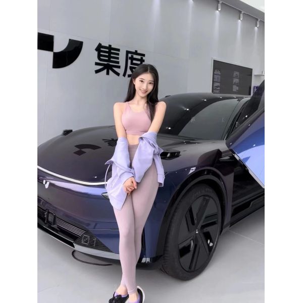 Long Crusing Range 600km Pure Electric 544 Horsepower Dual Motor Four-wheel Drive 5 Door 5 Seats SUV Car Pixel-J ROBO-01