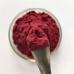 Buy High Quality Black Carrot Juice Powder For Pigment