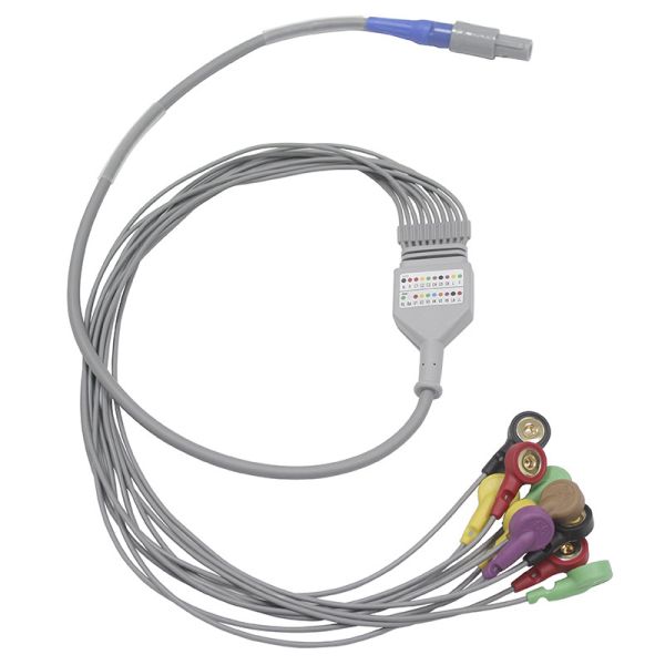 Buy Biomedical Instruments 10 leads Holter ECG Cable and Leadwires at wholesale prices