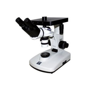 Quality Binocular 6V 12W Inverted Optical Microscope Compound Metallurgical 100X 1250X for sale
