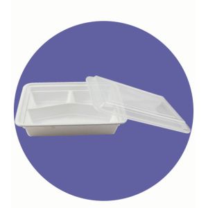 DISPOSABLE PLASTIC COMPARTMENT BOX, LUNCH BOX, GOOD QUALITY,
