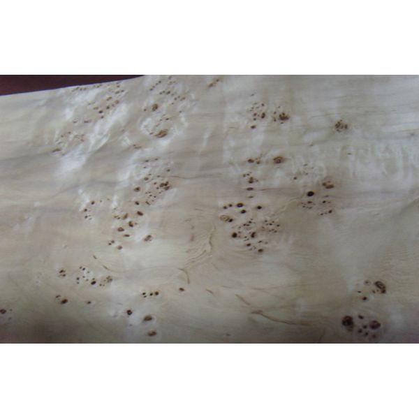 Buy Flat Burled Wood Veneer Sliced Cut , Constructional Ash Burl Veneer at wholesale prices