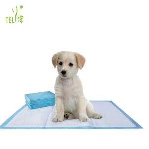 Anti Leak 40*60cm Disposable Puppy Training Pads
