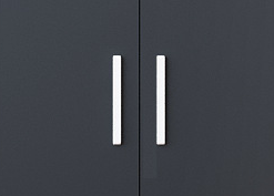 Office Two Door Pantry Cabinet with Modern Design and T/T 30% Deposit 70% Balance