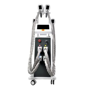 Fat Freeze Cryolipolysis Slimming Machine 800W OEM
