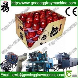 Vegetable tray plup moulding machine