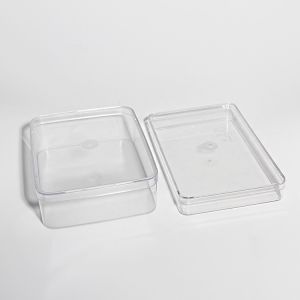 Custom PS PET Material Transparent Plastic Biscuit Container Box FDA
