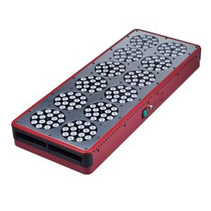 Quality high power apollo led grow light for tulip 430watts for sale