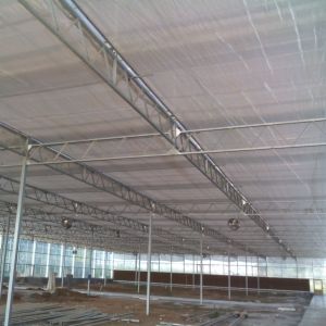 High Yield Vegetable Glass Seedling Greenhouse For Tomato / Cucumber