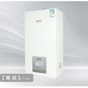 Home Wall Mount Gas Boiler NG LPG Wall Hung Combi Boiler Copper Heat Exchanger