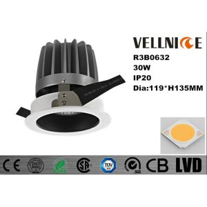 30W High Quality Fixed Led Downlight With 24 / 36 / 60 Degree Beam Angles