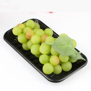 HLD-470 PP plastic fast food tray container machinery