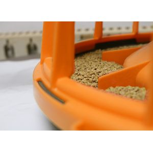 300g Pan Capacity Chicken Farm Equipment 380V 220V Broiler Raising