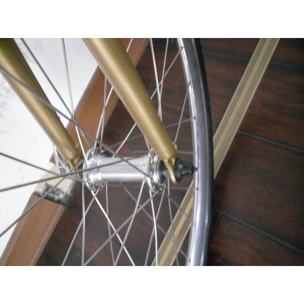 CE Certified 20*2.1 Kenda Tire Single Speed Mini Fixie Bike for Child Adventure