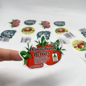 Custom Die Cut Vinyl Stickers For Printing Fruit Packaging Self Adhesive