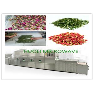 Auotmatic Microwave Dehydrator For Green Tea , Black Tea , Moringa Leaves