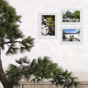 Chinese Pine Artificial Floor Plant For Landscpaing Decoration Long Lasting