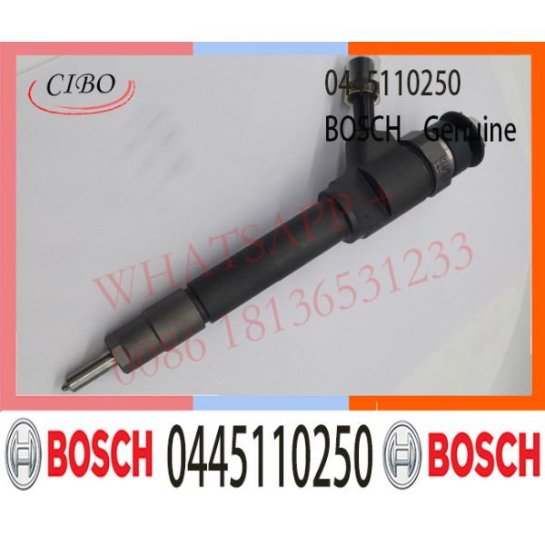 0445110250 Bosch Fuel Injector 0445110250 0986435123 0986435123 For FORD Ranger / Mazda BT-50 WLAA-13-H50 WLAA13H50