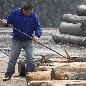 Africa Natural Makore Wood Veneer Cherry Mahogany For Hotel Decoration And