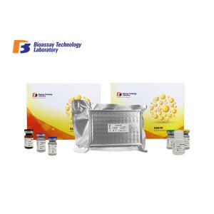 Quality Mouse Customized Adiponectin Receptor 1 Sandwich ELISA Kit 2 Hours Assay Length For Research for sale