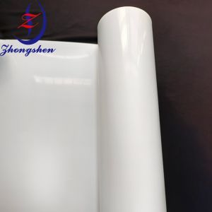 Quality Long-Lasting Poultry Manure Belt for Automated Poultry Systems for sale