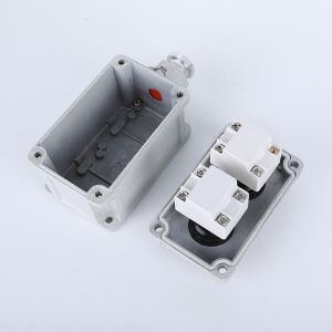 Explosion Proof Control Button WF1 Grade for Hazardous Areas