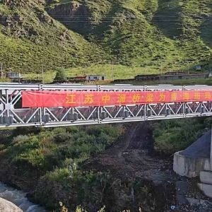 China Painted Light Gray Steel Structure Bridge / Prefabricated Truss Pedestrian Bridge on sale