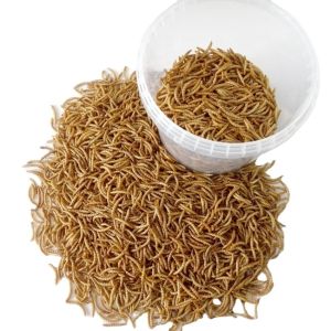 Quality Dried Mealworms Insects for Sale High Protein and Nutritious for sale