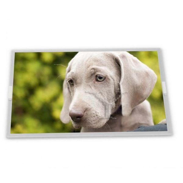 Buy High Quality G156XW01 V302115.6-Inch LCD Display Monitor LVDS & MIPI Interfaces in Stock with Quality Assurance at wholesale prices