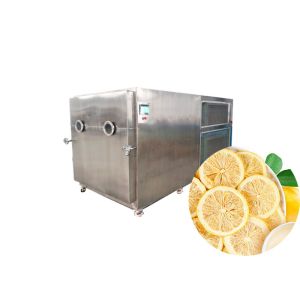 300KG Industrial Food Vacuum Freeze Dryer Lyophilizer