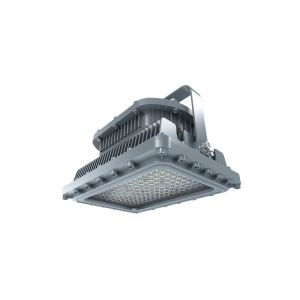 20-220W Industrial Explosion Proof Light ATEX Certified