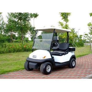 Excar 48V Electric Golf Car Pearlized Trojan Battery Aluminum Chassis