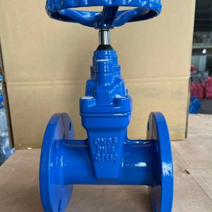 Y Type Flange Gate Valve Soft Seal Sluice Valve for CI/DI/WCB/SS Structure