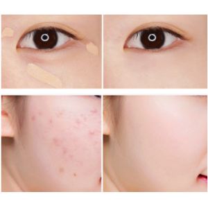 ISO9002 Waterproof 6 Colors Long Lasting Concealer