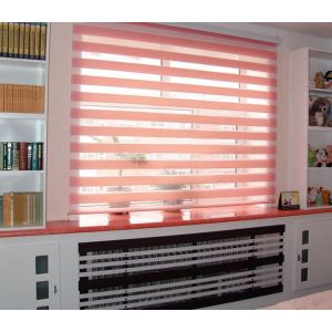 Venetian Zebra Blinds Fabric , Privacy Protection Bunnings Indoor Roller Blinds