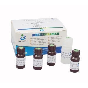 China Sperm DNA Fragmentation Test Kit AOT Flow Cell Methodology on sale China Sperm DNA Fragmentation Test Kit AOT Flow Cell Methodology on sale
