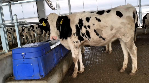 Revolutionize Your Farming Experience with Livestock Auto Waterer Advanced Technology