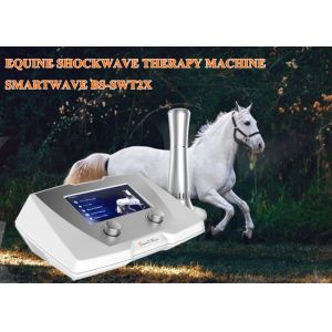 Quality Smart Shockwave Therapy Equipment Acoustic Wave Therapy Machine Tendon Injury for sale